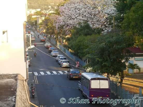 La Plaine Verte Guesthouse Port Louis Exterior photo